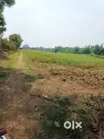 8 एकड़ जमीन चारों तरफ बाउंड्री वॉल सिंचाई पंप ट्यूबवेल पक्का मकान