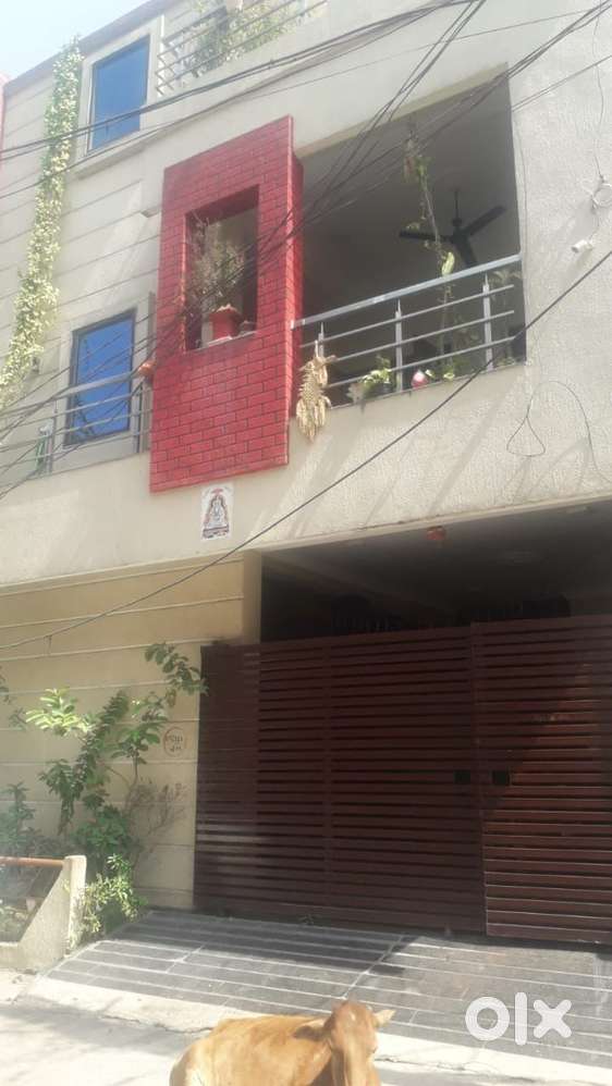 Room rent laxmi nagar