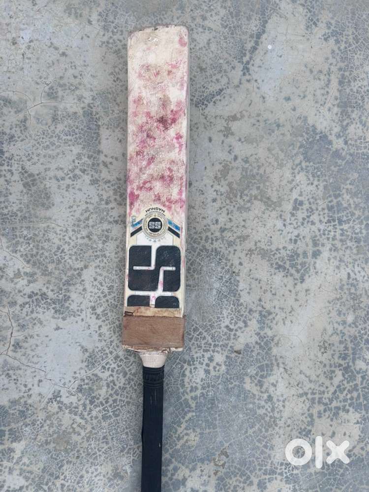 SS premium english willow Bat