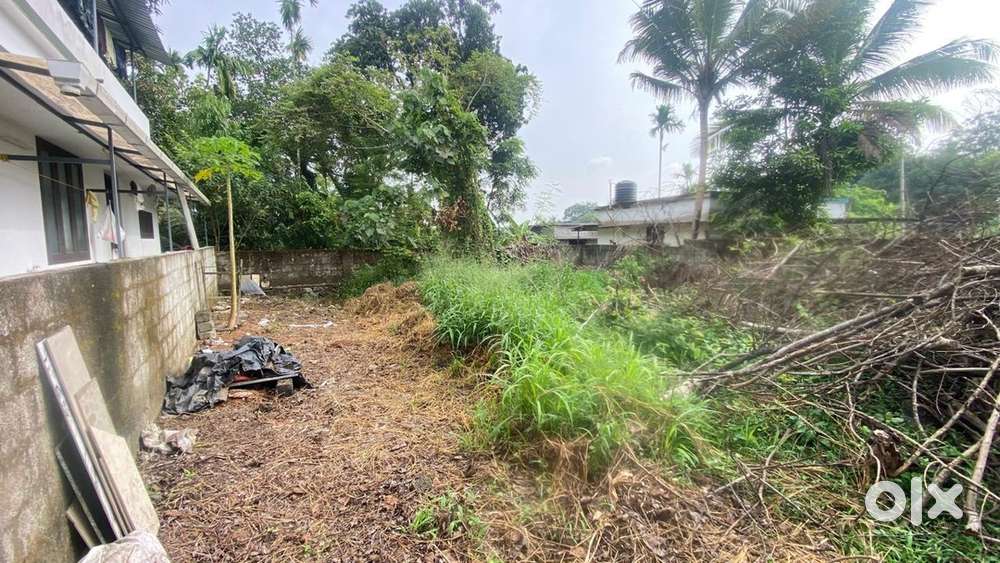 9 cent land for sale in muppathadam