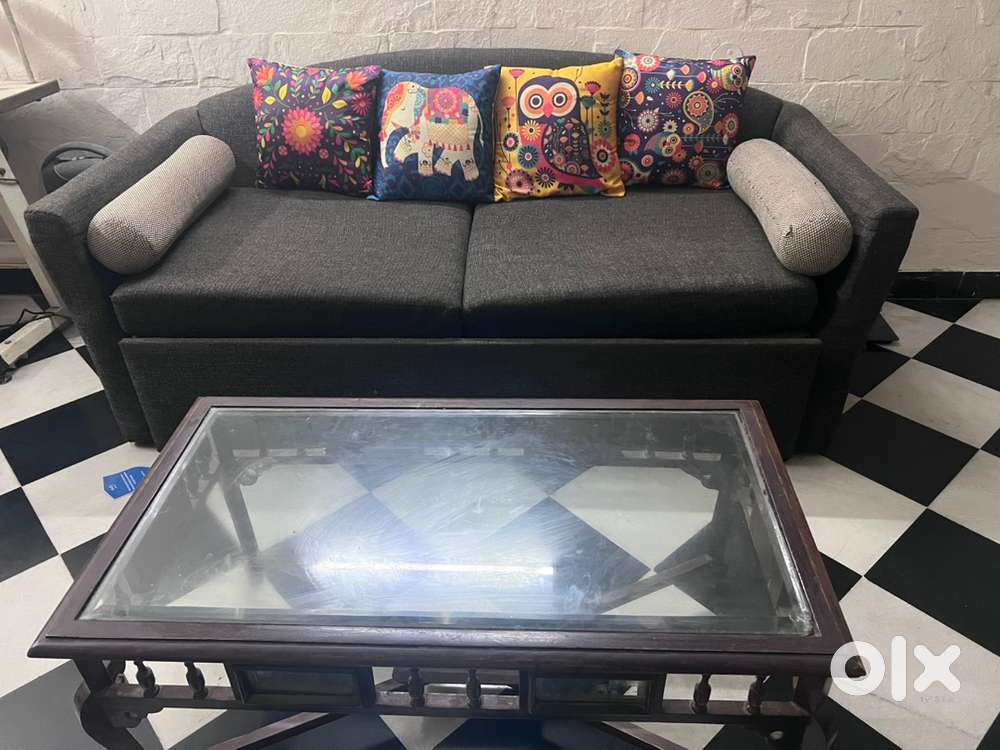 Sofa cum bed along with cofee table