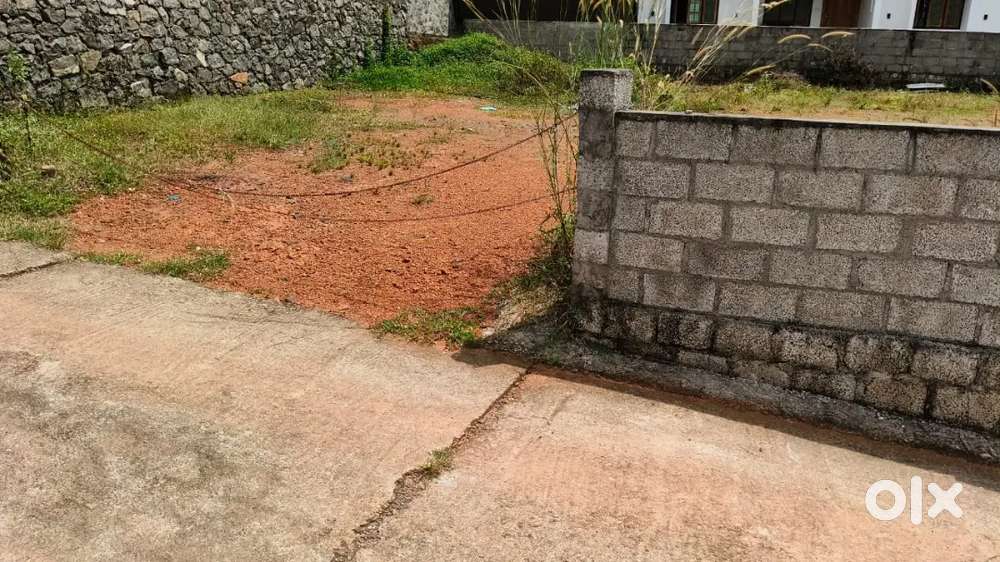 കറുകച്ചാൽ 10 cent house plot.2.40.lakh.neghoshible.