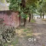 500 Sq Yards,J.D Farm House Defence Colony Ambala Cantt