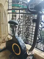 Proline Fitness Magnetic Bike