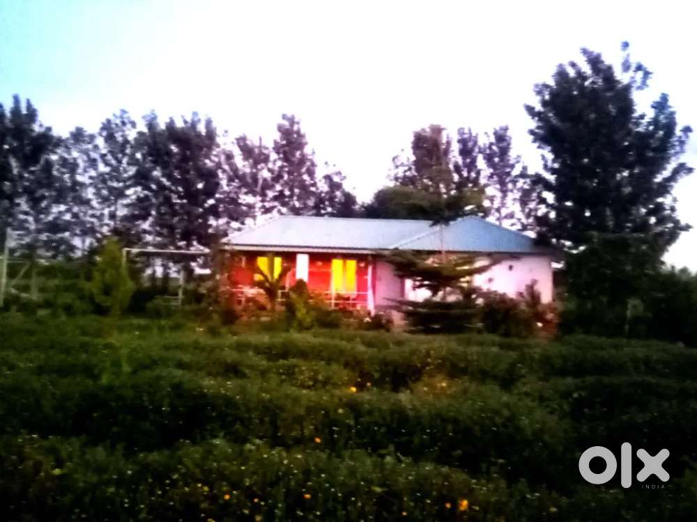 Beautiful farm house with borewell