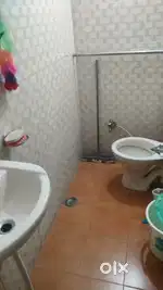 Need a girl roommate.