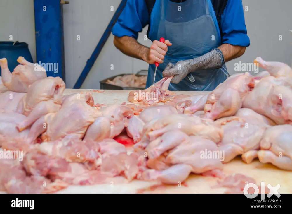 Chicken cutting master
