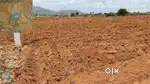 Agriculture lands for Sale