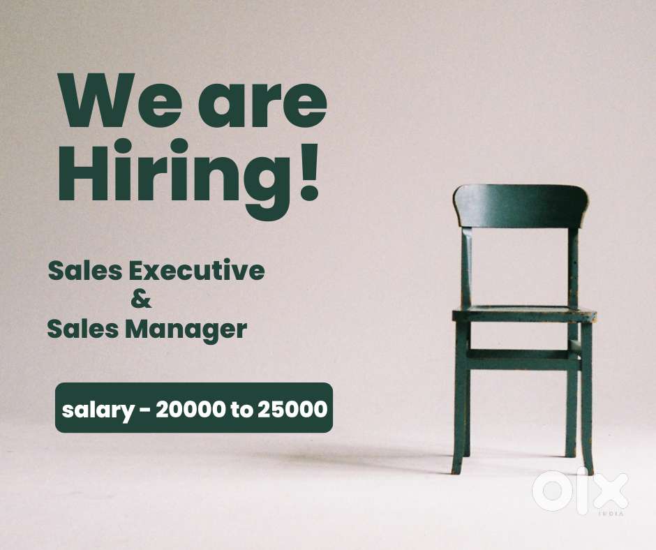 Sales Executive