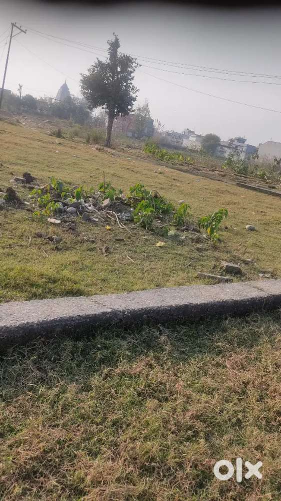 Measuring 7.5 Marlas