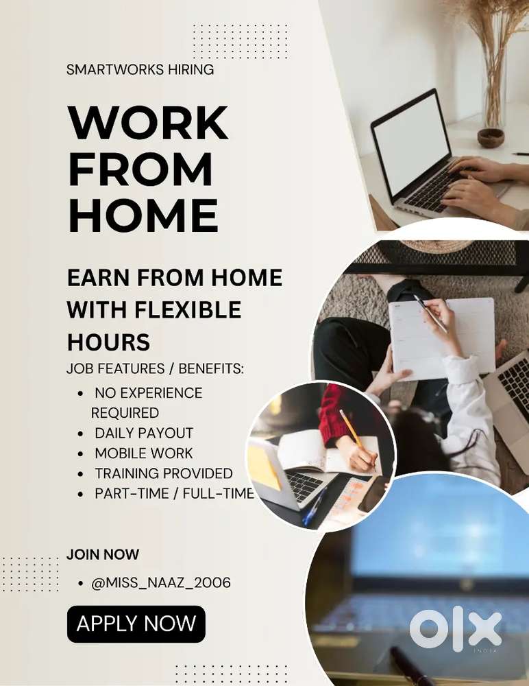 Work From Home Opportunity  No Experience Needed