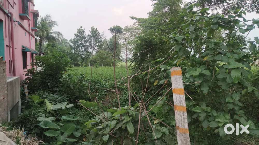 Exclusive Petrol Pump Plot for Rent