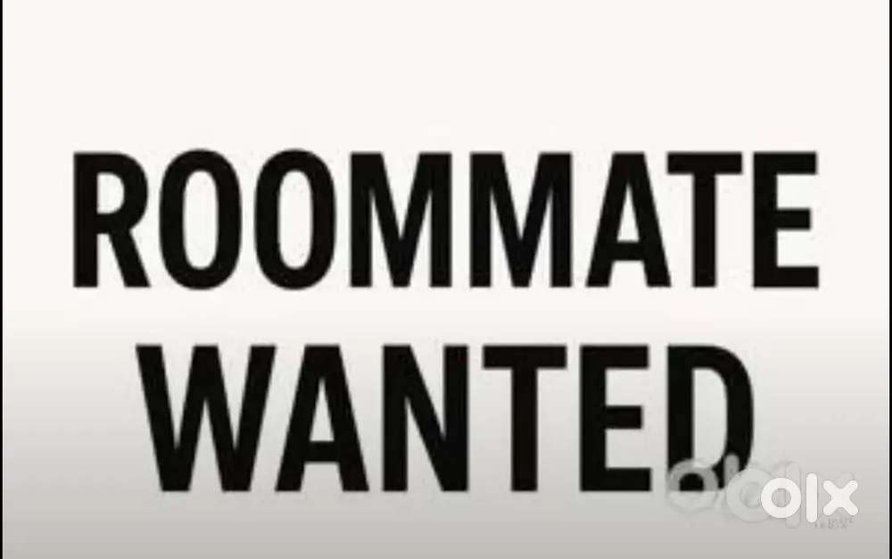 Need ladies for room sharing