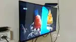 VW 80 cm (32 inches) Frameless Series HD Ready LED TV