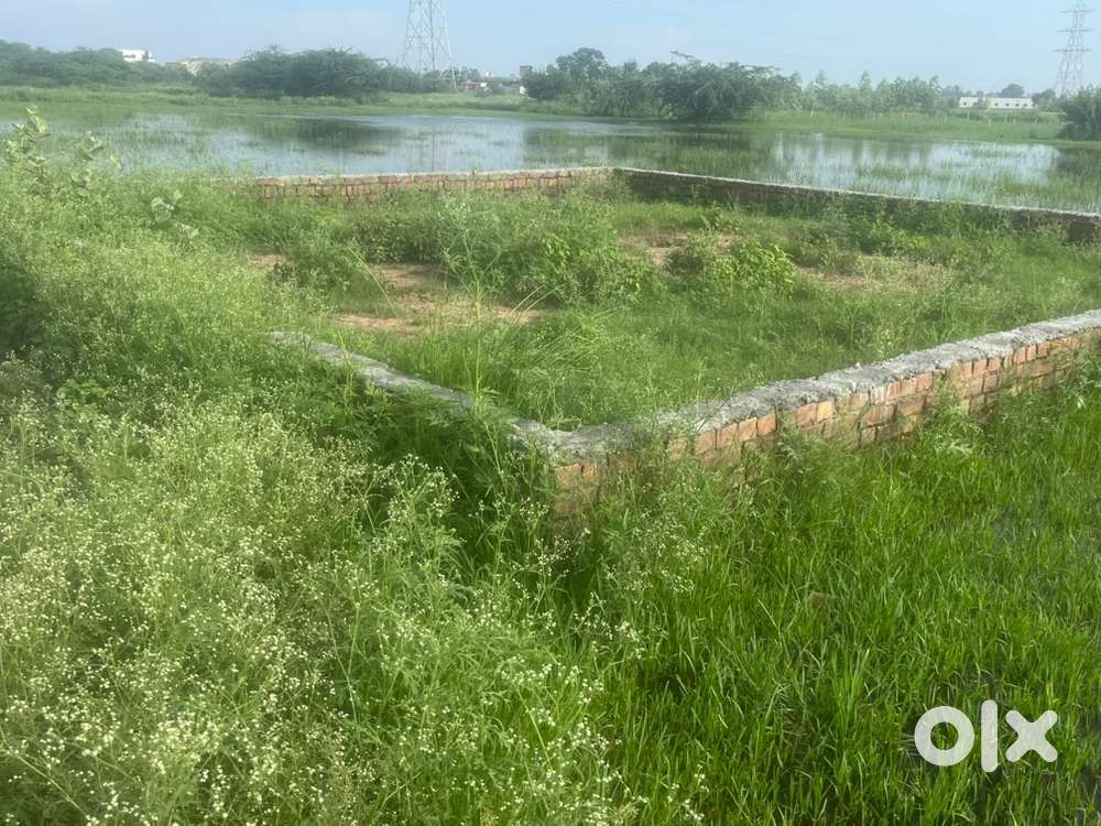 Pilkhani road rajpura kang city near dera swami