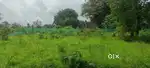 32,35,48,50 Guntha Land for sale In Pali Sudhagad