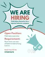Hiring Sales executive