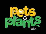 Hiring for pet grooming staff experienced