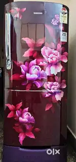 Samsung Single Door