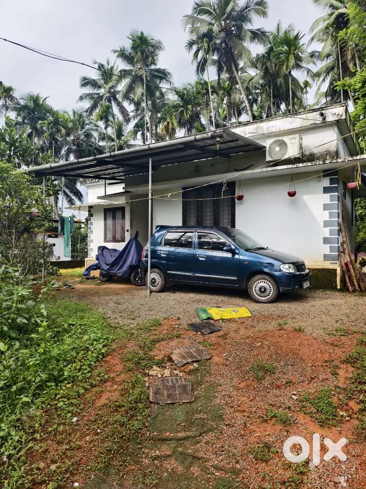 12 cent plot and house