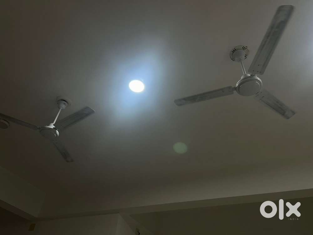 Good quality 2 fan Good price