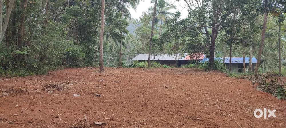 60 Cent Land for Sale Near Aligarh University, Malappuram  1.5 Lak