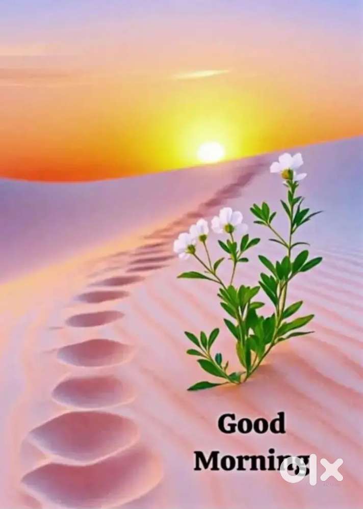 Urgent sell house and plot near GRM school Bareilly U.P