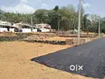 Thripunithura Thiruvankulam vennikulam plot for sale