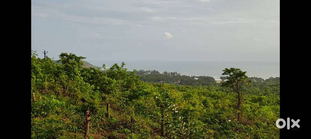 फार्महाऊस, रिसॉर्ट तसेच Sea view N.A. प्लॉटिंग प्रोजेक्ट करण्याची संधी
