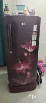 Lg 5 star fridge