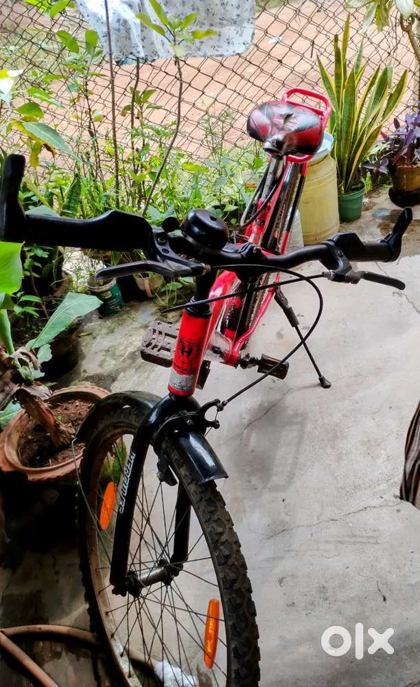 Cycle good quality