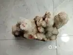 Crystal Stone. 4.05 KG