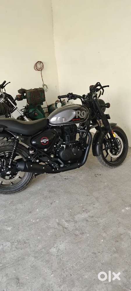 Hunter 350, one month old