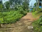 Land road side sale