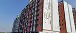 Rent house