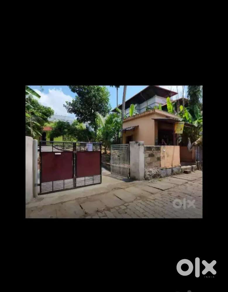 Plot for sale in Thirumala, Plavila (Karabhoomi)