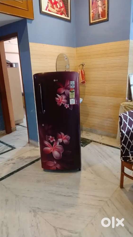 LG Single Door Fridge – Good Condition, Affordable Price