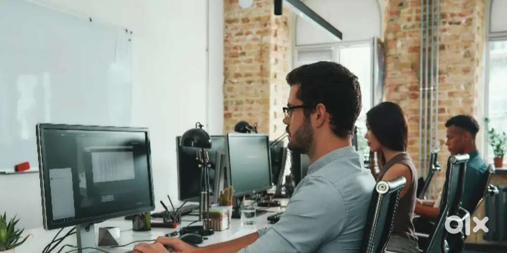 Urgent vacancy for Back office executive - calangute