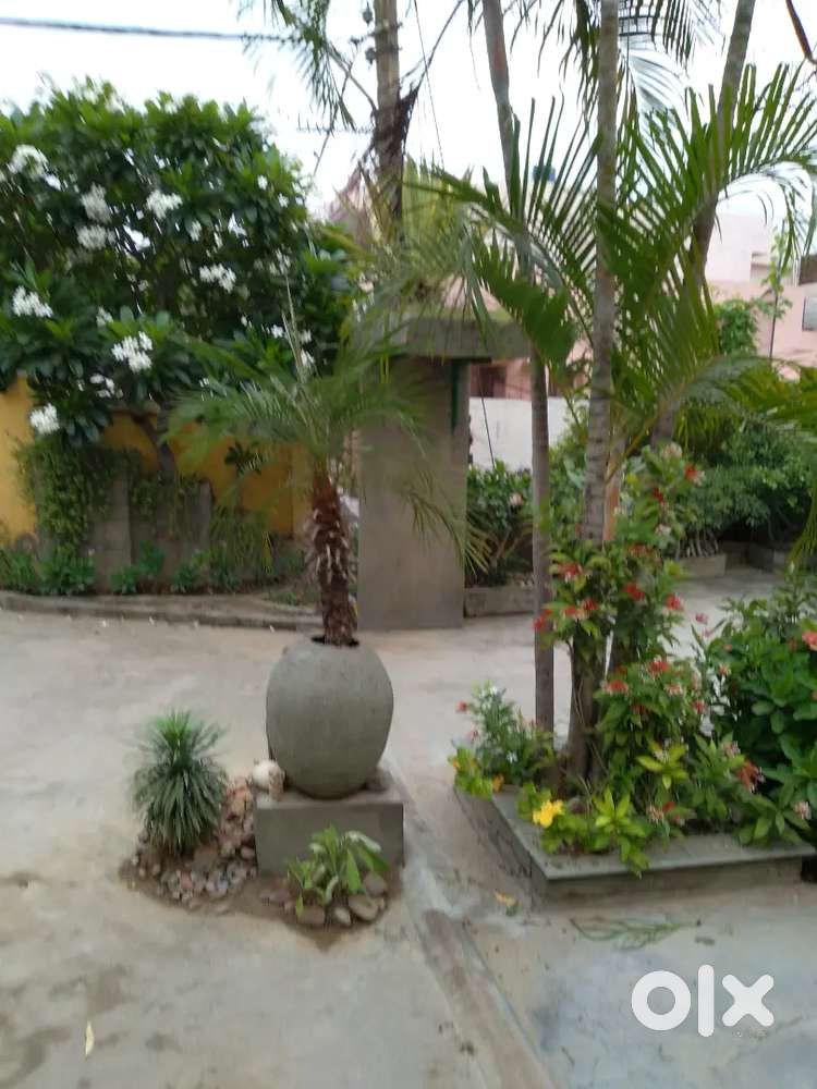 ACFurnishef room kitchen toilet clean green close to market Malls trpt