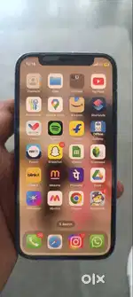 apple 12 mini