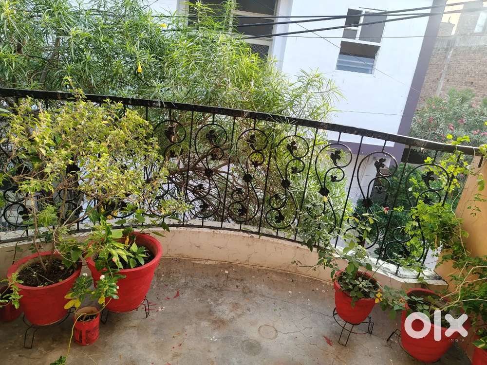 Only vegetarian allowed