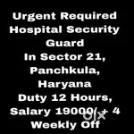 Hospital Security Guard Job Panchkula
