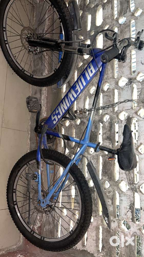 Blue wings bicycle