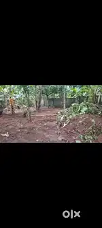 12 Cent Residential land for sale in Aluva.