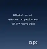 Wanted delivery boy  - Hinjewadi