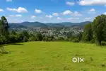 Prime 1 Acre Land for Sale in the Heart of Ooty