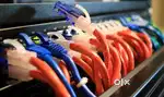 Service engineer and marketing staff