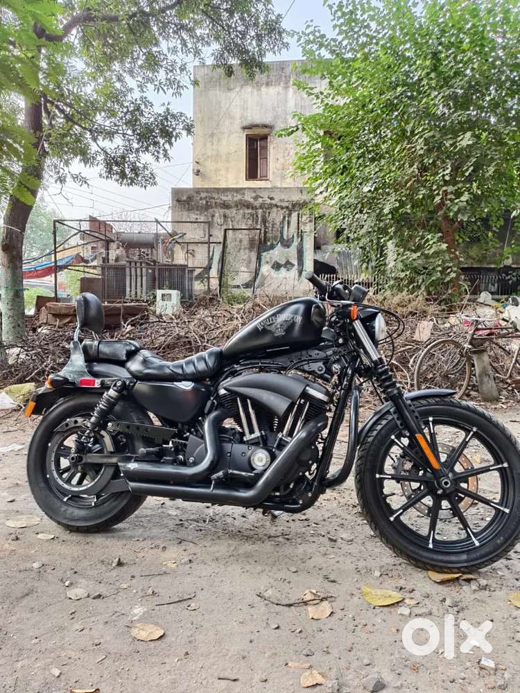 Harley Davidson Iron 883 2016 Call or WTSP (12-8pm)