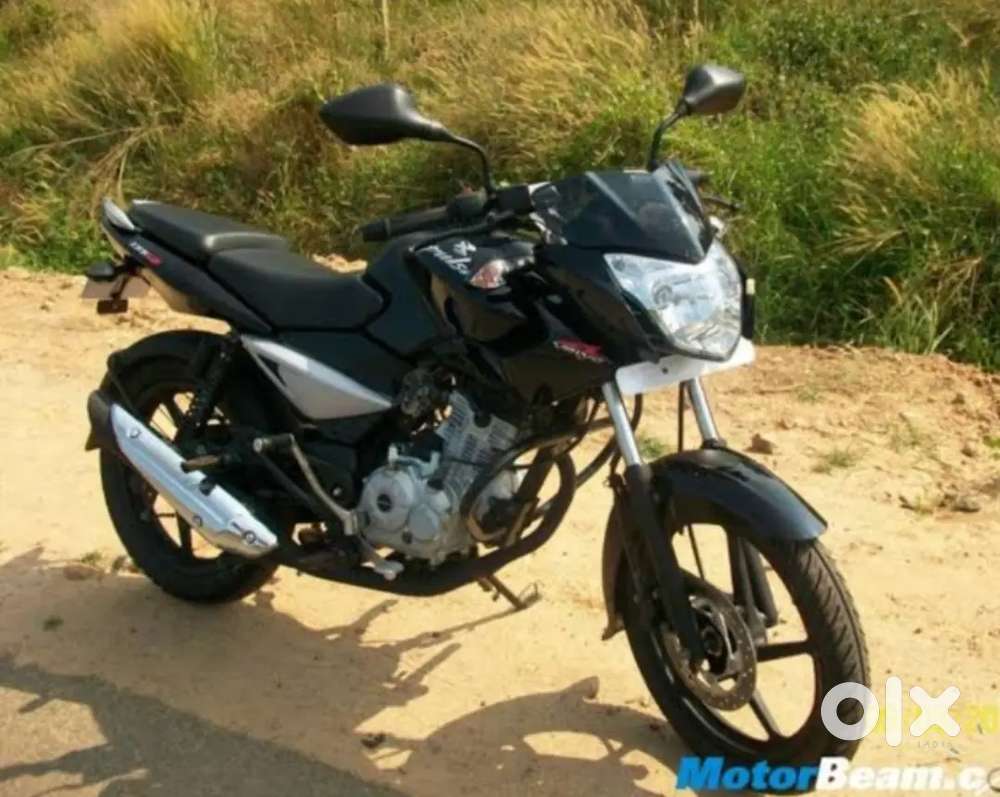 Pulsar ls 135