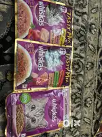 Cat wet food